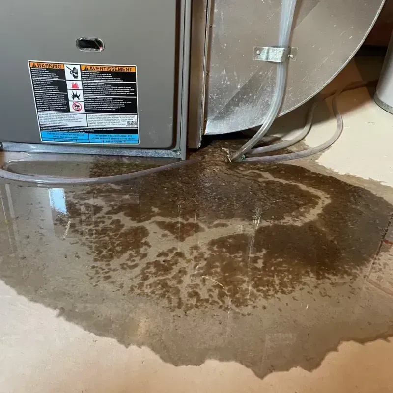 Appliance Leak Cleanup in Brazos County, TX